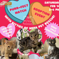 Purr-fect Match Adoption Event image