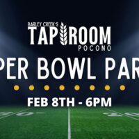 Super Bowl Party image