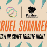 Taylor Swift Tribute Show image