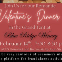 Valentine’s Dinner image