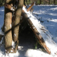 Wilderness Skills image