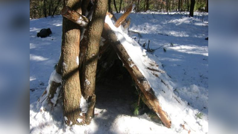 Wilderness Skills image