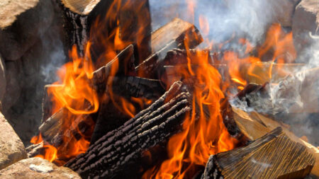 Winter Survival Skills with Lacawac Sanctuary image