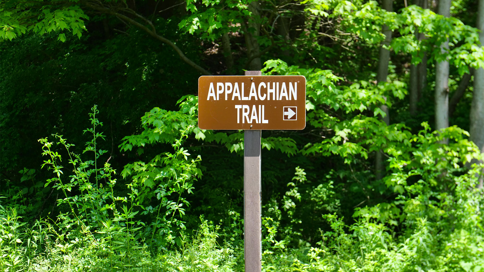 Appalachian Trail Guide & Map image