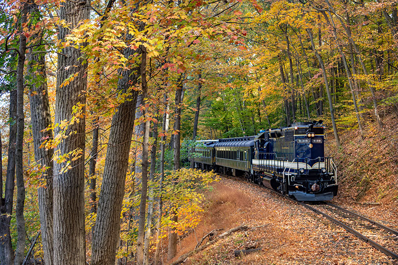 A train going through fall foliage on the Colebrookdale Railroad in Boyertown, PA