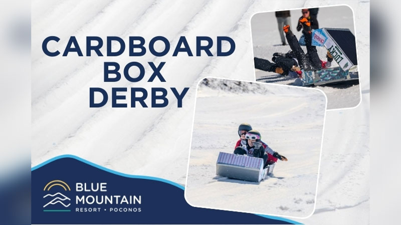 Cardboard Box Derby image