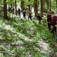 EMHR’s International Forest Day Hike image