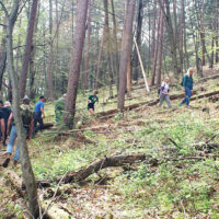 Earth Day Hike image