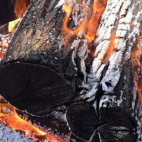 Lunar New Year Qi Gong image