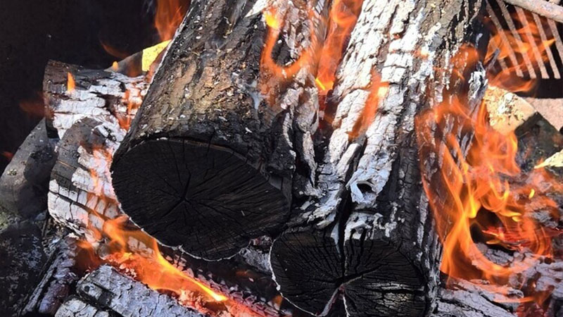 Lunar New Year Qi Gong image