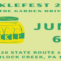 Picklefest image