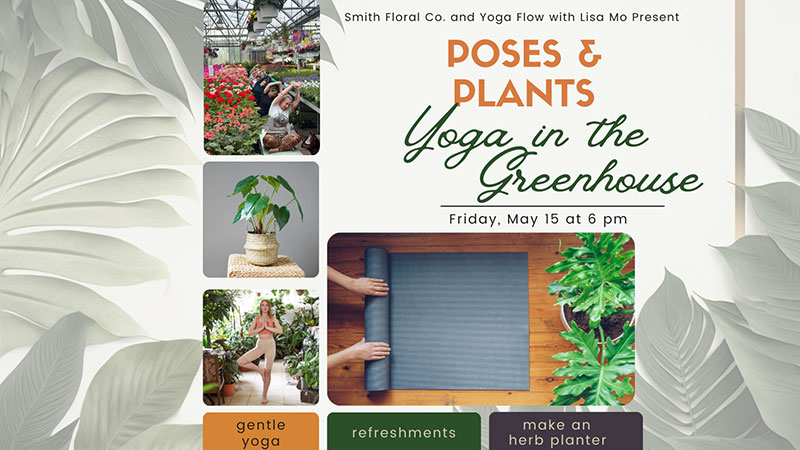 Poses and Plants Yoga in the Greenhouse image