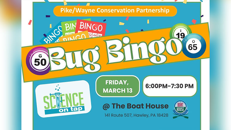 Science on Tap: Bug Bingo image