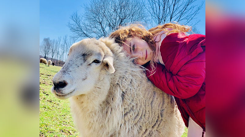 Nurture & Nourish: Sheep Shnugglin’ image