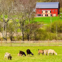 Summer Solstice image