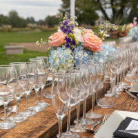 Summer Garden Series image