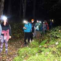 Vosburg Neck State Park Night Hike image