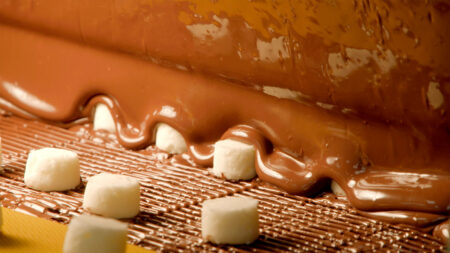 5 Chocolate Shops in NEPA image