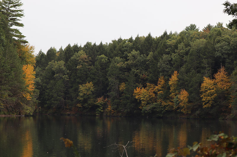 Fall foliage along the shoreline at Beltzville State Park in Lehighton, PA.