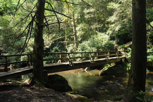 An old wooden footbridge in the forest at Beltzville State Park in Lehighton, PA.