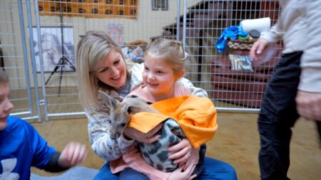 Safari Farm Petting Zoo & Sanctuary image