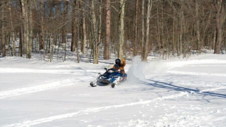 Winter Fun at Tobyhanna State Park image