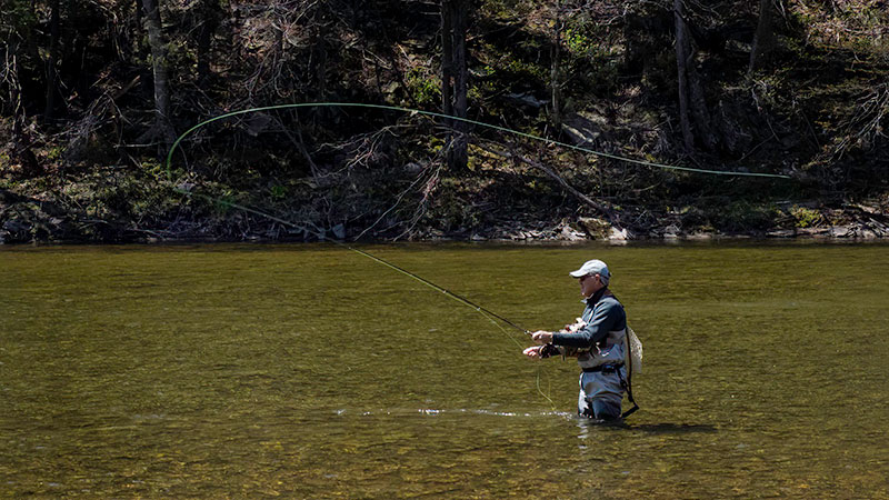 A fisherman casts a fly into Loyalsock Creek in Sullivan County, PA.