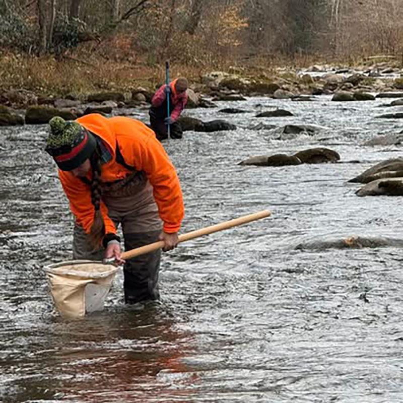 Eastern Pennsylvania Coalition for Abandoned Mine Reclamation volunteers work in a local waterway. 