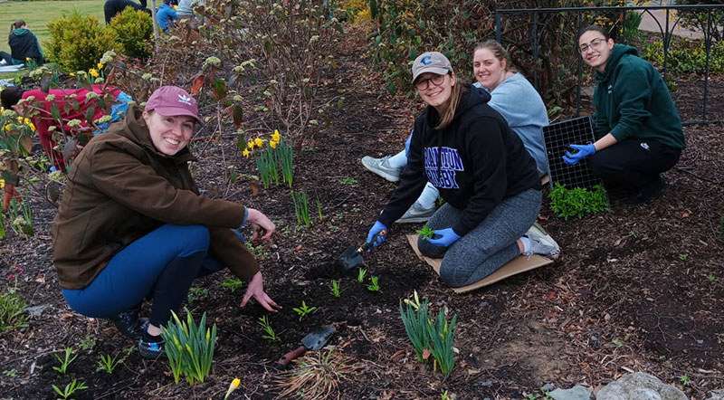 Volunteers help plant flowers in Downtown Scranton during Scranton Tomorrow's spring planting event in Scranton, PA.