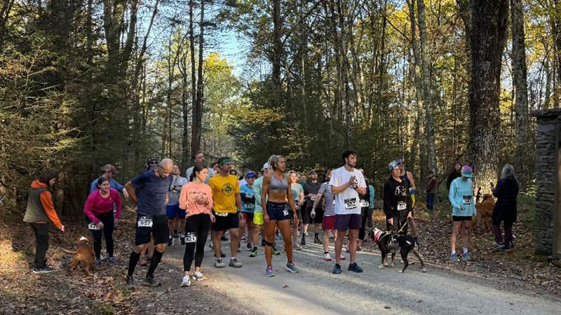 10K Run for the Osprey image