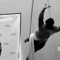 Adult Aerial Workshop image