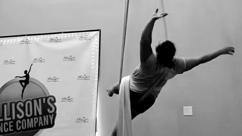 Adult Aerial Workshop image