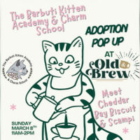 Barbuti Kitten Academy Adoption Pop-Up image