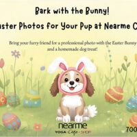 Bark with the Bunny image