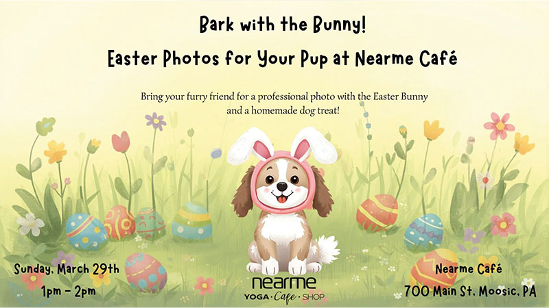 Bark with the Bunny image