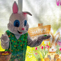 Easter Bunny holding basket in spring-themed backdrop with sign reading 