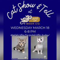 Cat Show & Tell image