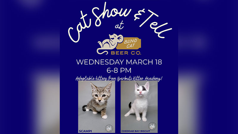 Cat Show & Tell image