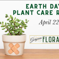 Earth Day Plant Care Rx image