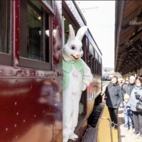 The Easter Bunny standing in the entrance greeting guests as they board the Easter Bunny on the Trolley excursion in Scranton, PA.