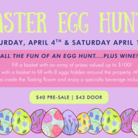 Easter Egg Hunt image