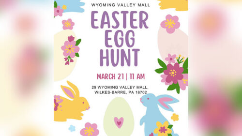 Wyoming Valley Mall Easter Egg Hunt image