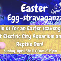 Easter Egg-stravaganza graphic inviting guests to an Easter scavenger hunt at Electric City Aquarium and Reptile Den on Sunday, April 5 from 11 a.m. to 5:15 p.m. in Scranton, PA.