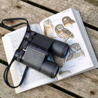 Essentials of Birdwatching image