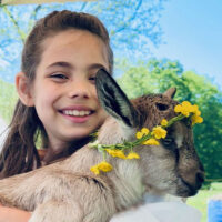 Farm Animal Frolic image