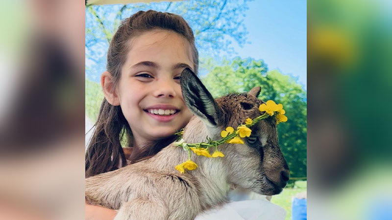 Farm Animal Frolic image