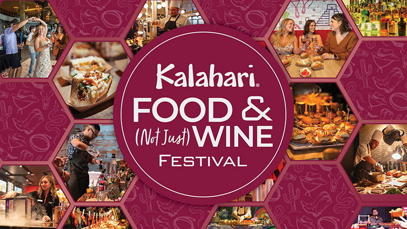 Kalahari Food & (Not Just) Wine Festival image
