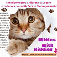 Kitties with Kiddies image