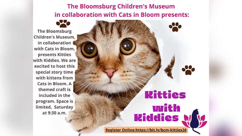 Kitties with Kiddies image