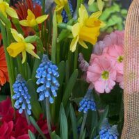 Flowers on display from the Living Easter Basket Workshop at Creekside Gardens in Tunkhannock, PA.